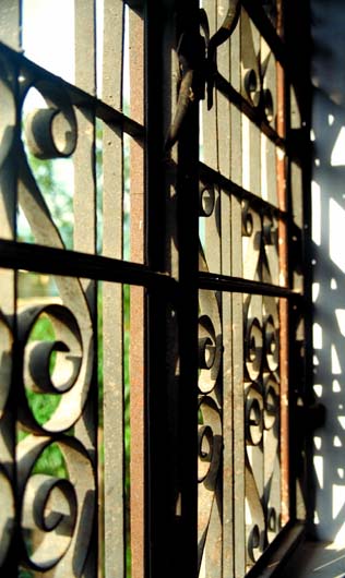 Window