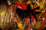 Detail of Black Butterfly