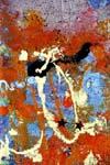 Detail of Yellow Dog III